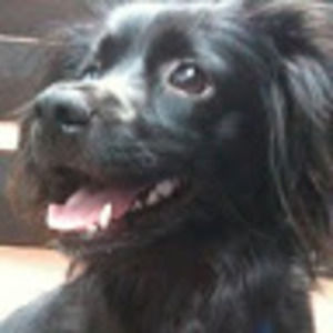 Meet your Posher, Victoria